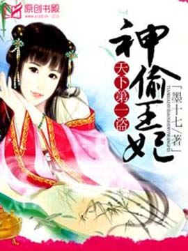 赌场大亨之至尊无敌:天下第一盗:神偷王妃
